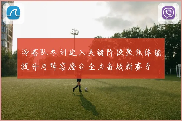 海港队冬训进入关键阶段聚焦体能提升与阵容磨合全力备战新赛季