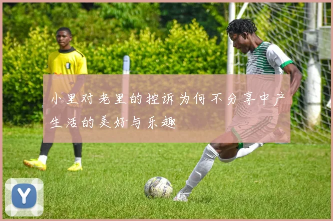 小里对老里的控诉为何不分享中产生活的美好与乐趣