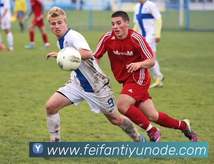 非凡体育平台生态图