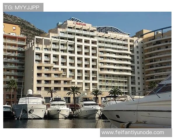 英媒称戴尔在摩纳哥表现抢眼接近被英格兰征召图赫尔密切关注其动态 英媒称戴尔在摩纳哥表现抢眼接近被英格兰征召图赫尔密切关注其动态