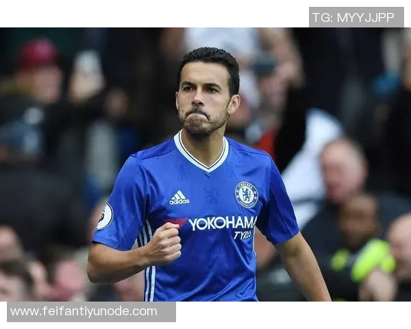 谢林汉姆评论切尔西放弃杰克逊的决定对佩德罗适应影响深远 谢林汉姆评论切尔西放弃杰克逊的决定对佩德罗适应影响深远