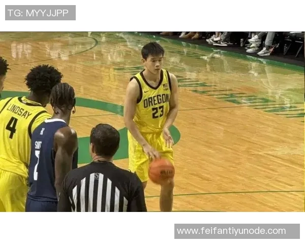 媒体人分析林葳遭遇批评背后的深意与成长路径借鉴陈盈骏的成功经验