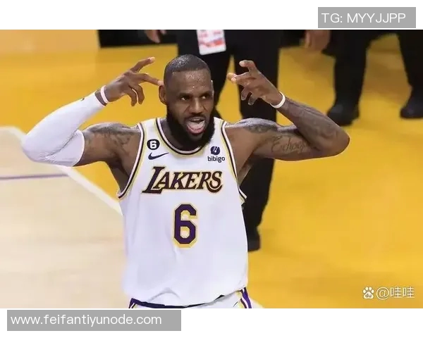 詹姆斯状态回暖表现抢眼沃西赞其活力十足贡献19分15板8助3帽